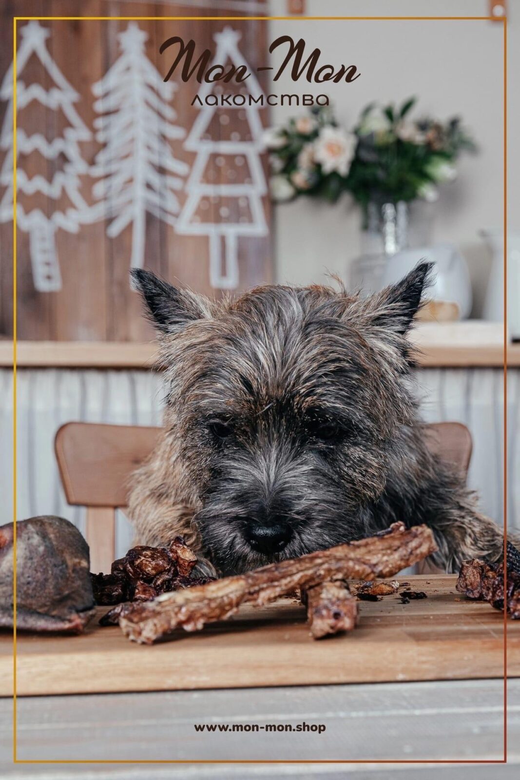 лакомства для собак