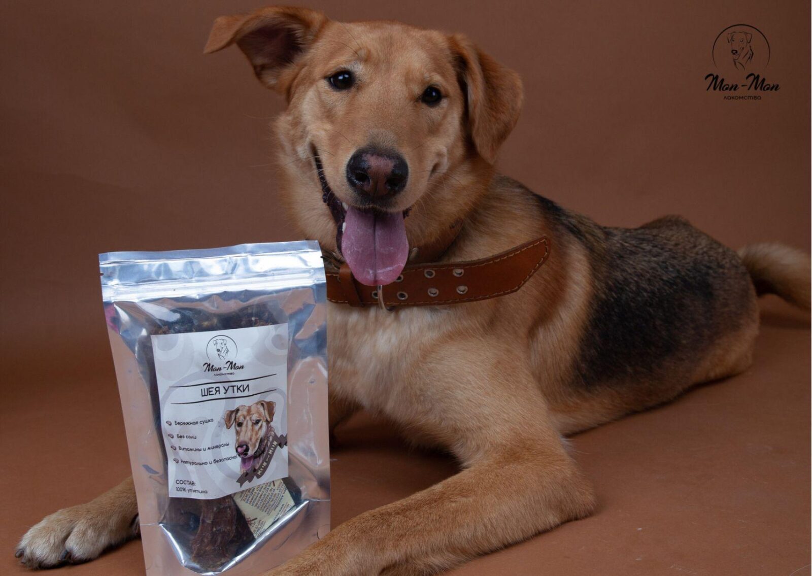 Какую кличку дать собаке?