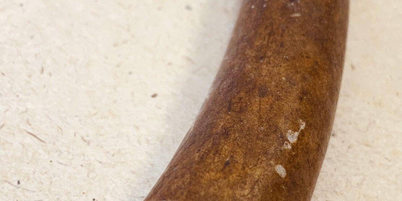 Рог оленя лакомство для собак