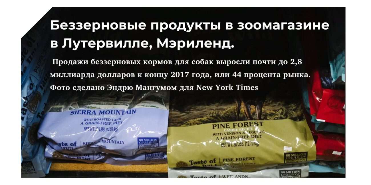 беззерновой сухой корм для собак