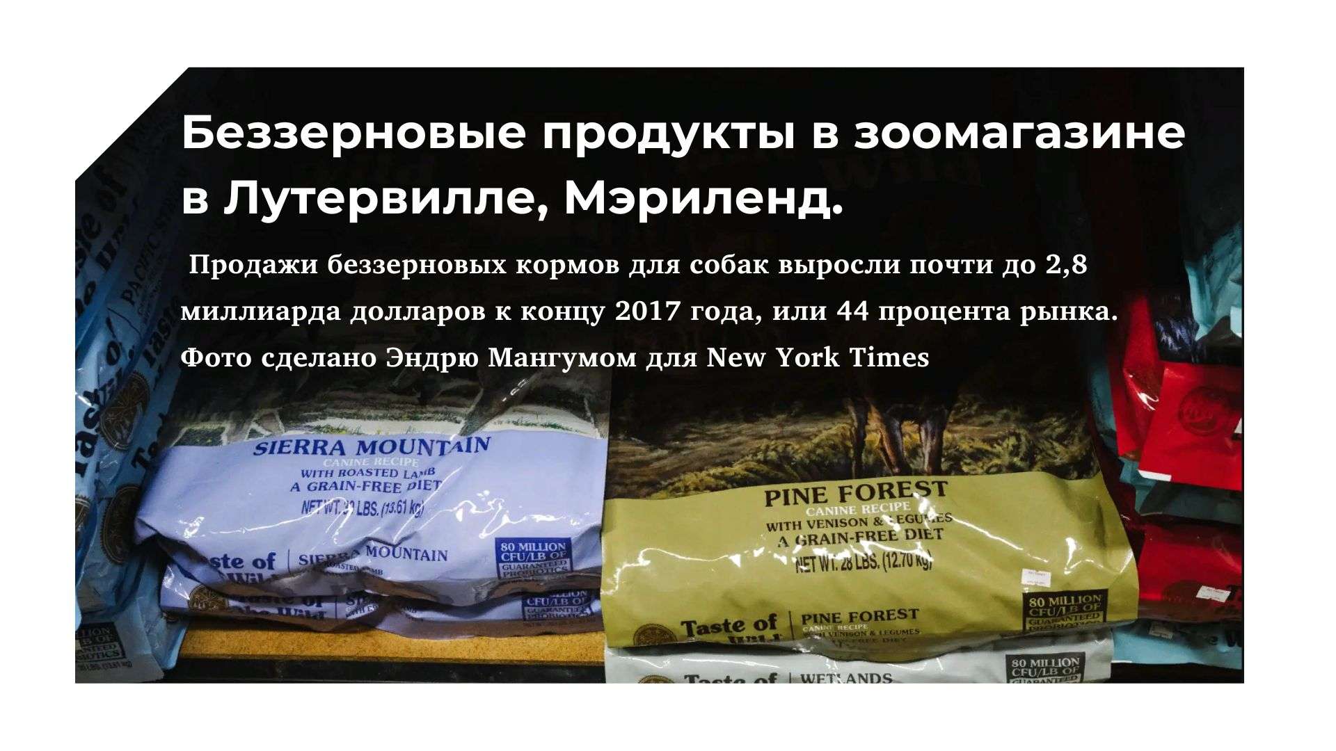 беззерновой сухой корм для собак