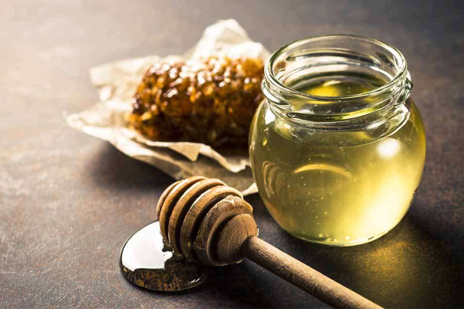 Можно ли собакам давать мёд