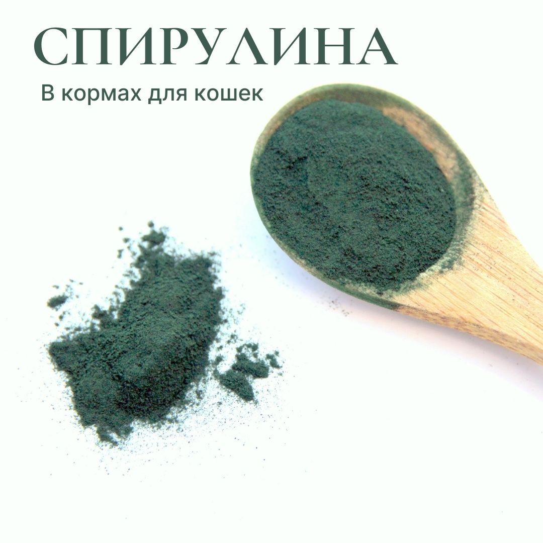 спирулина в кормах для кошек